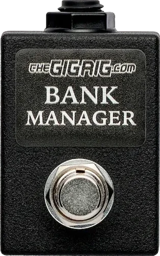 Bank Manager