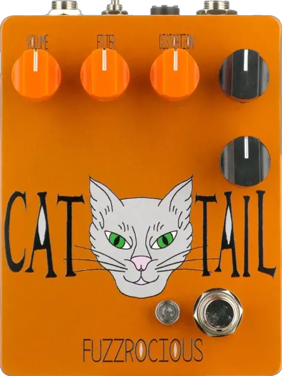 Cat Tail