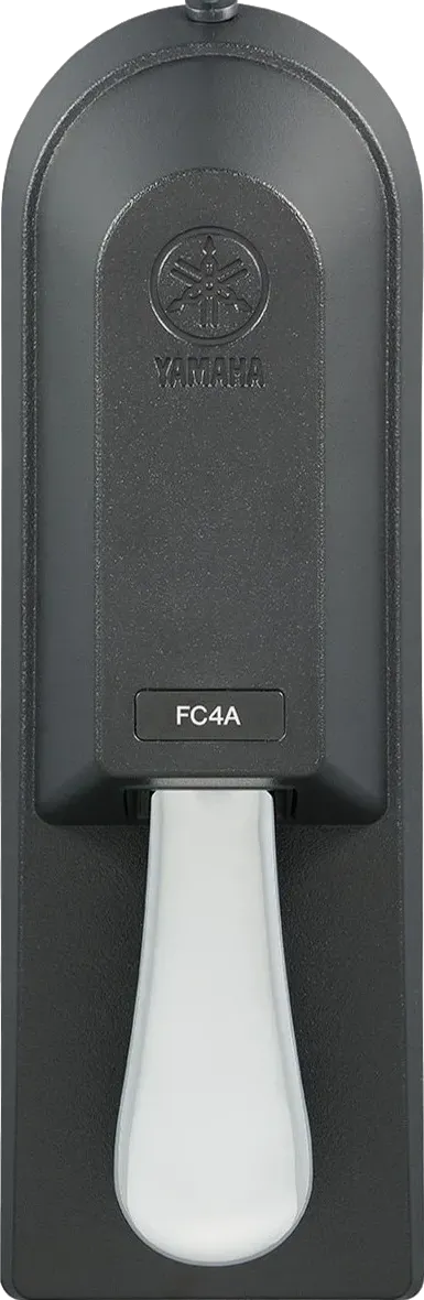 FC4A