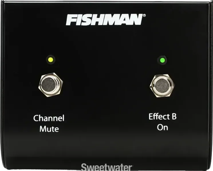 Loudbox Dual Footswitch