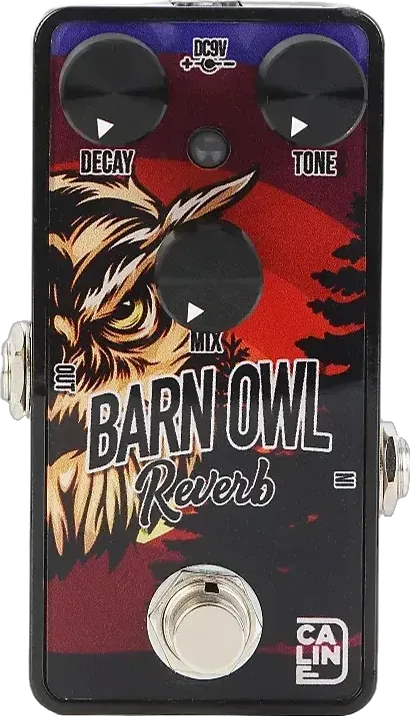 G008 Barn Owl Reverb