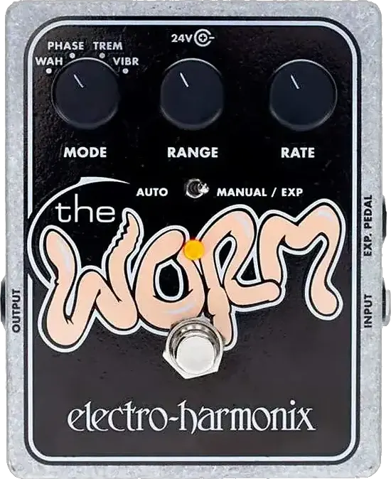 The Worm