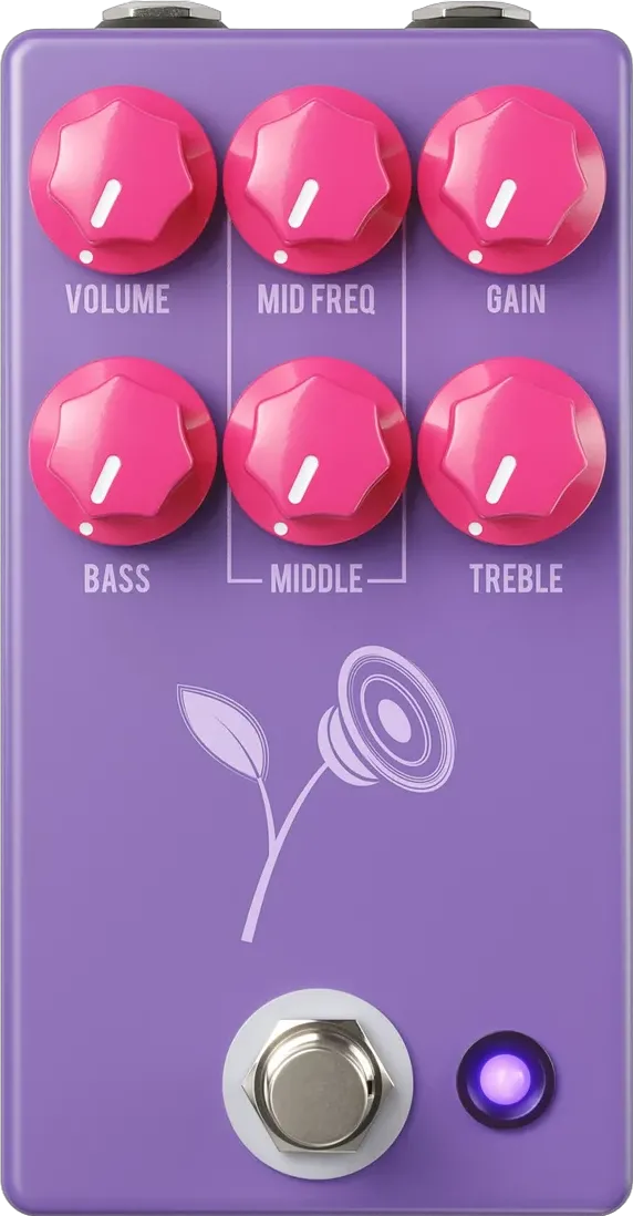 Violet, Purple - Lari Basilio Sign.