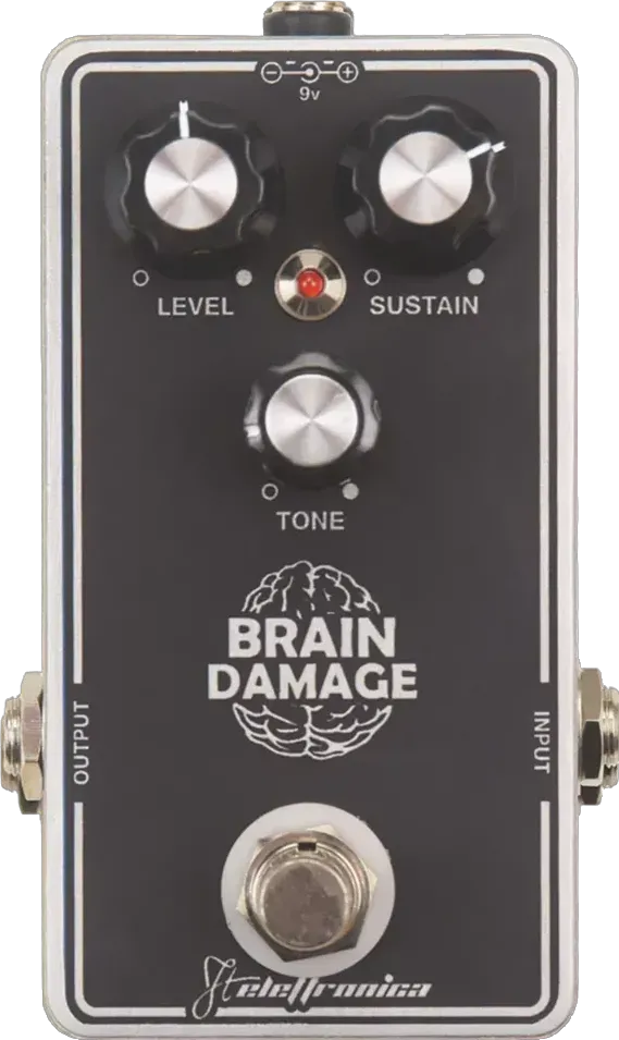 Brain Damage Distortion