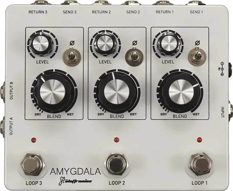 Amygdala