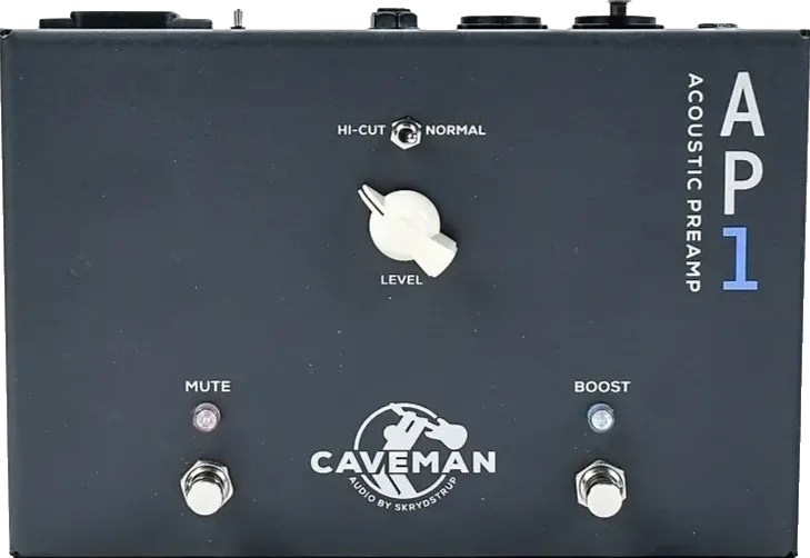 AP-1 Acoustic Preamp