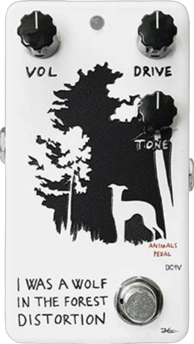 I Was A Wolf In The Forest