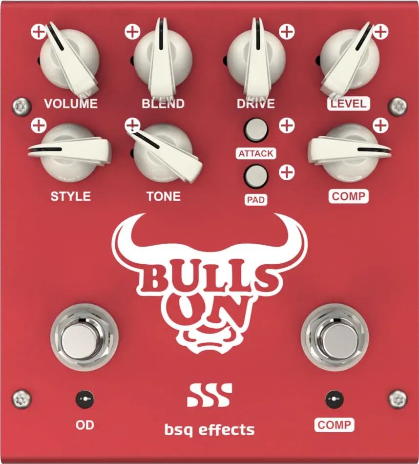 Bulls On