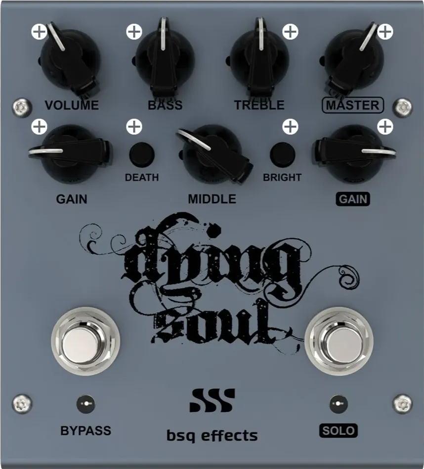 Dying Soul