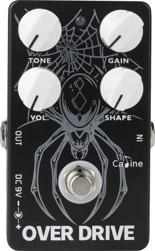 CP-65 The Widow Bass overdrive
