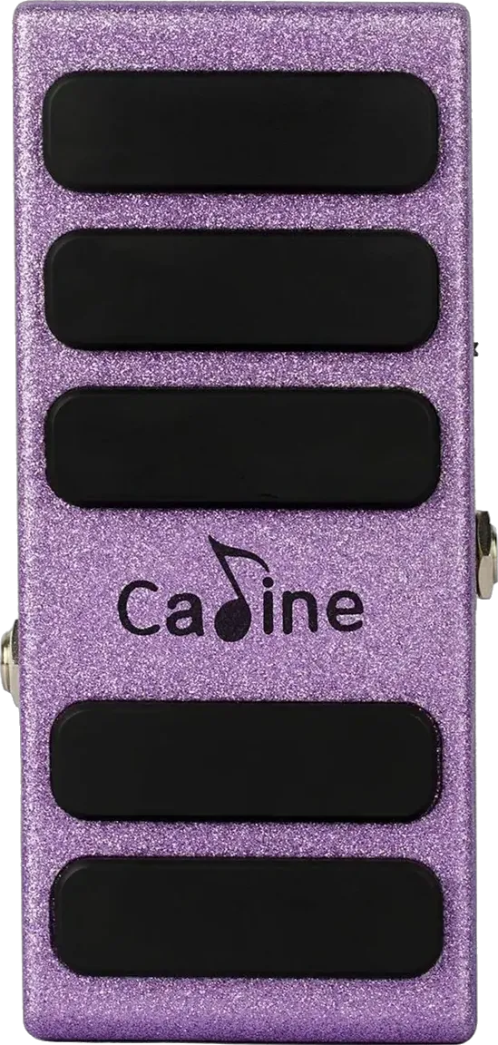 CP-72 Bass Wah/Vol 2 in 1