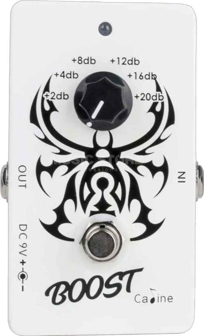 CP-97 The Recluse