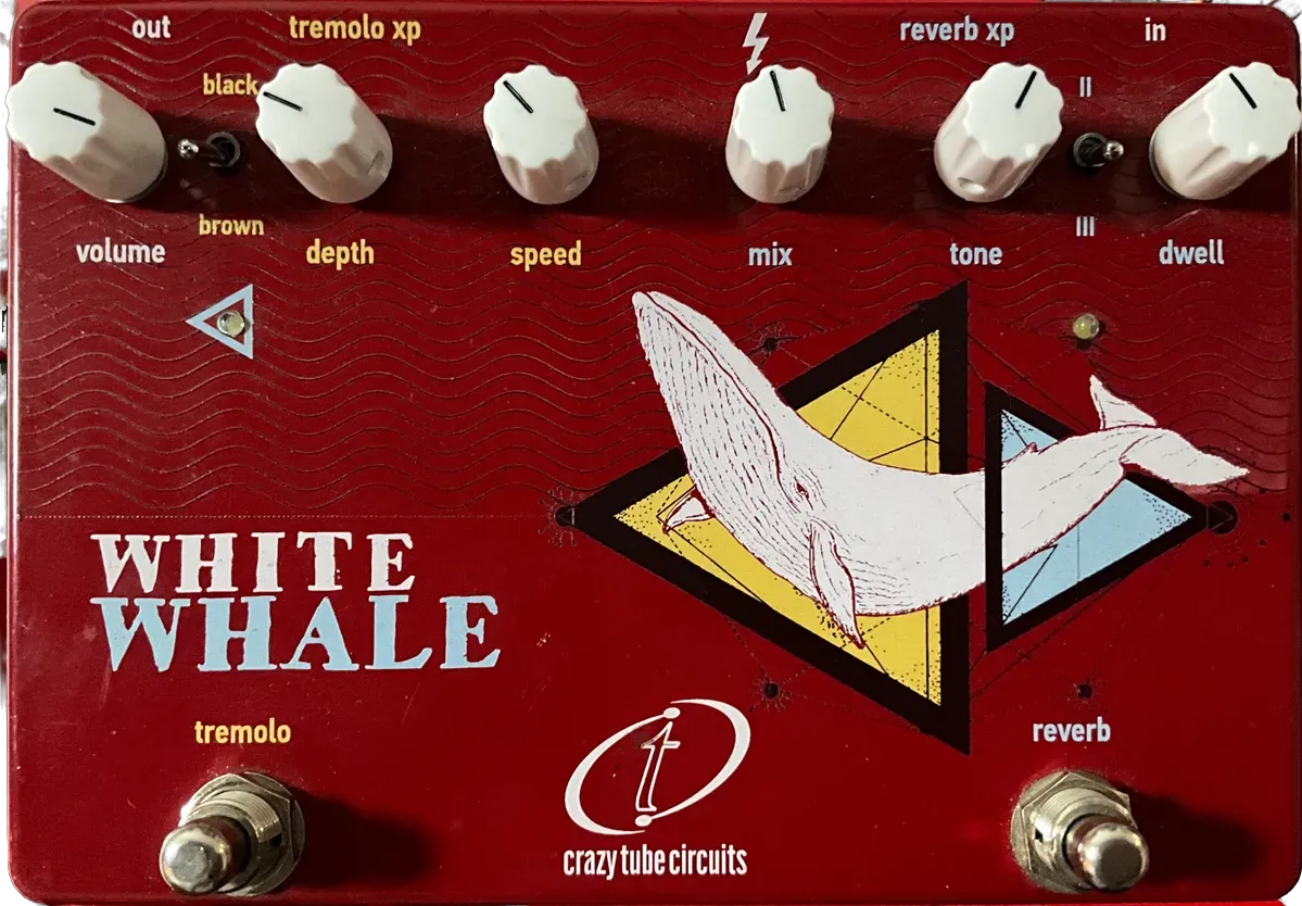 White Whale