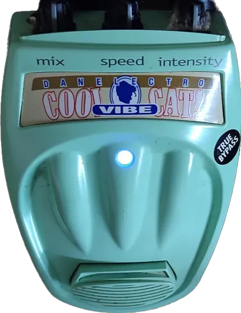 Cool Cat Vibe