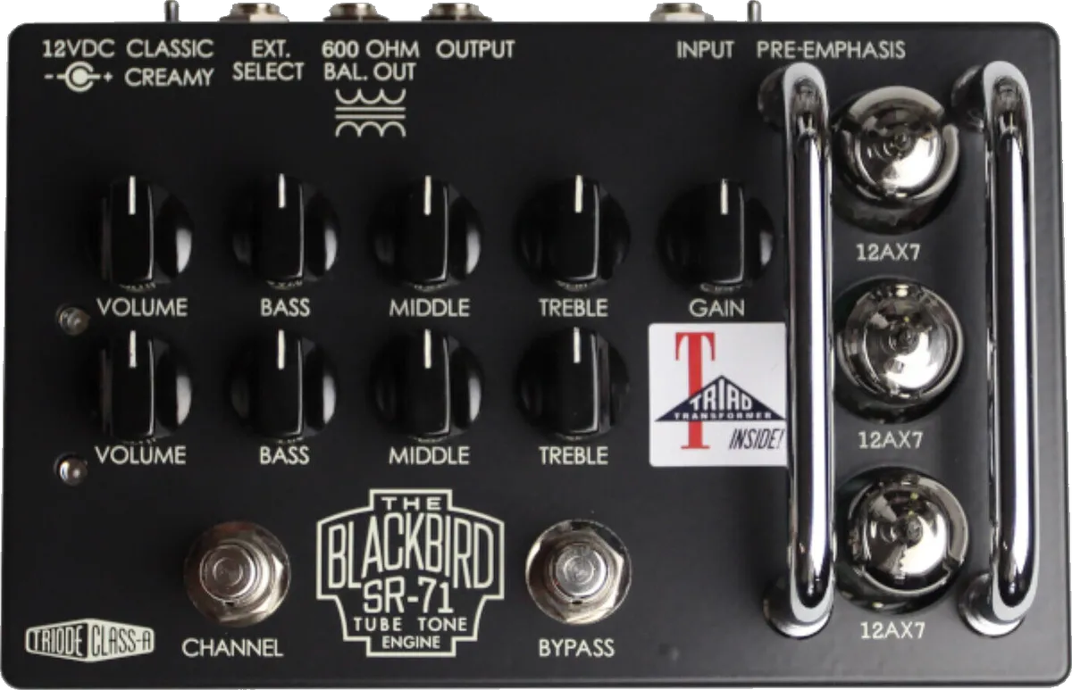 Blackbird