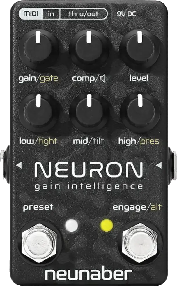 Neuron Gain Intelligence