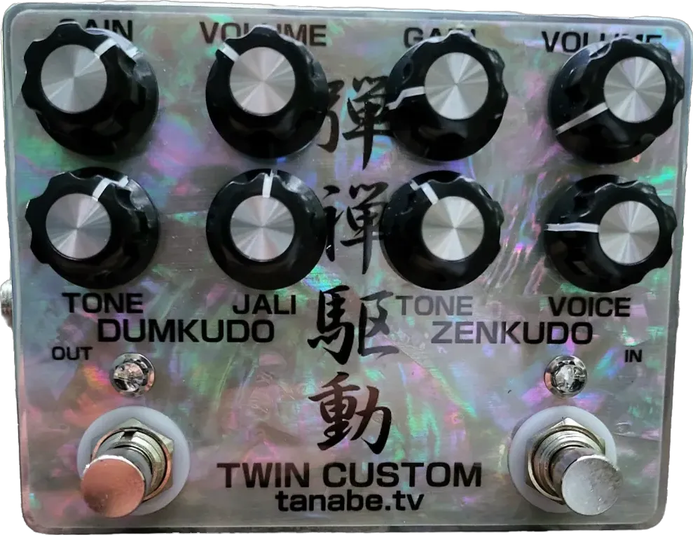 Dum + Zen Twin Custom