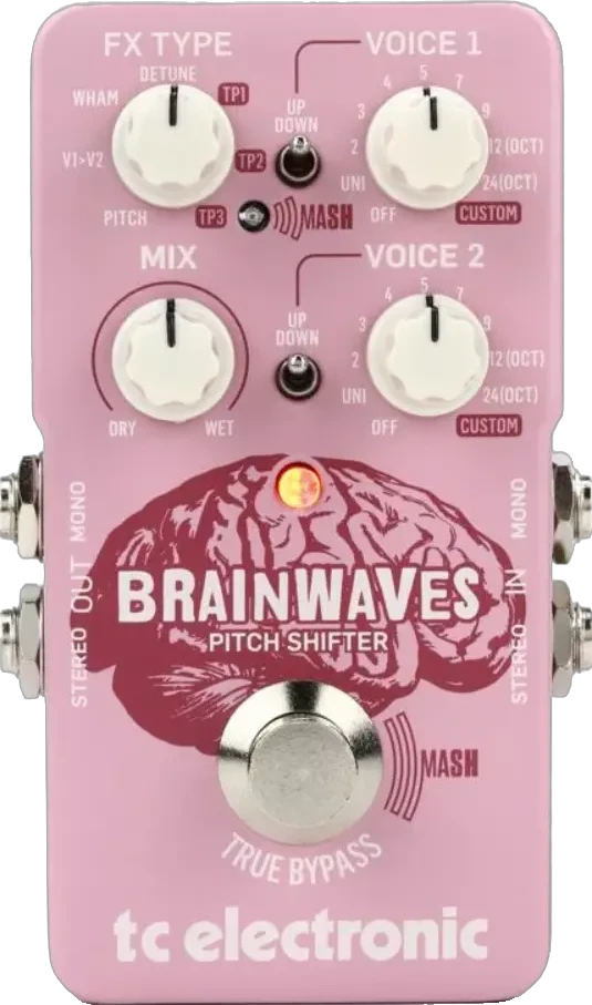Brainwaves