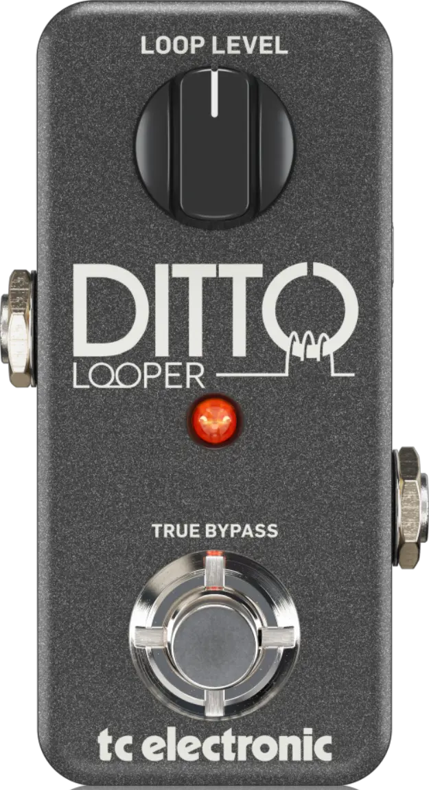 Ditto Looper
