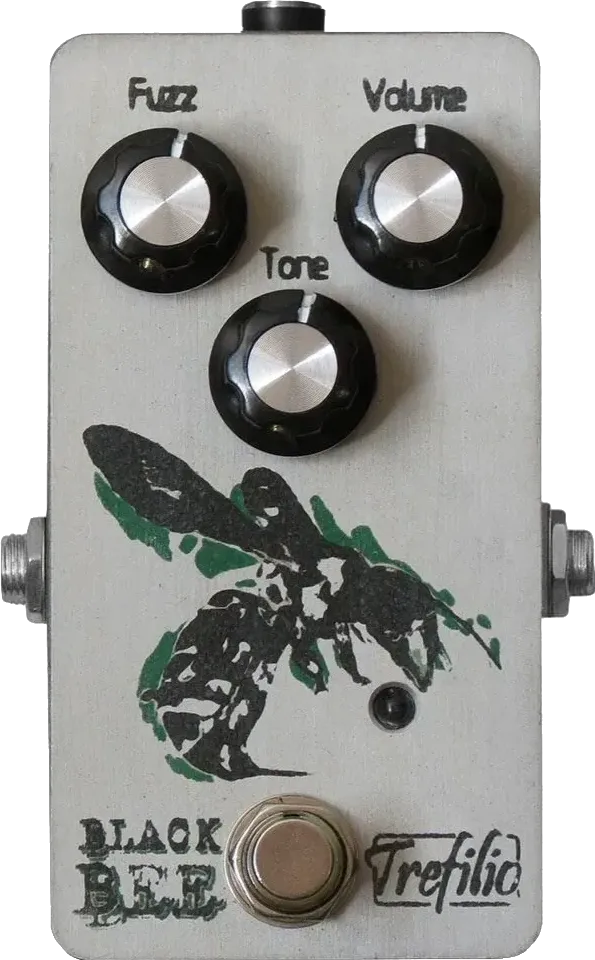 Black Bee
