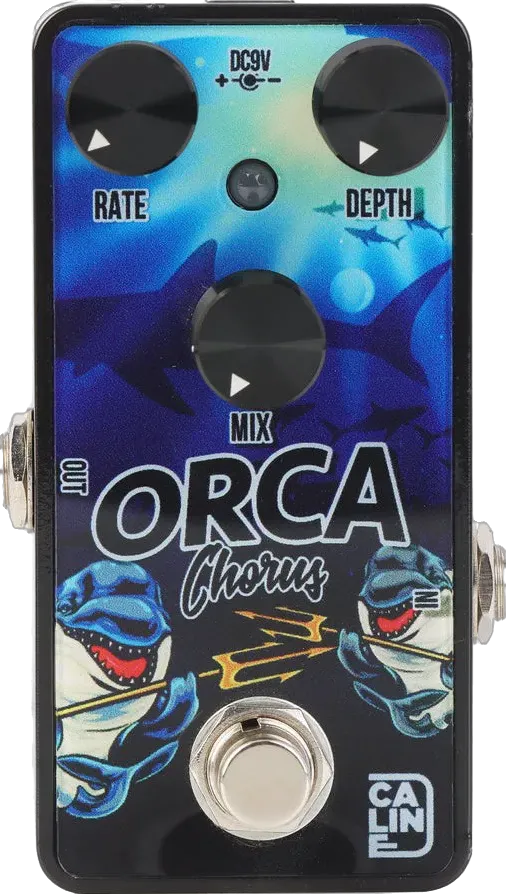 Orca Chorus